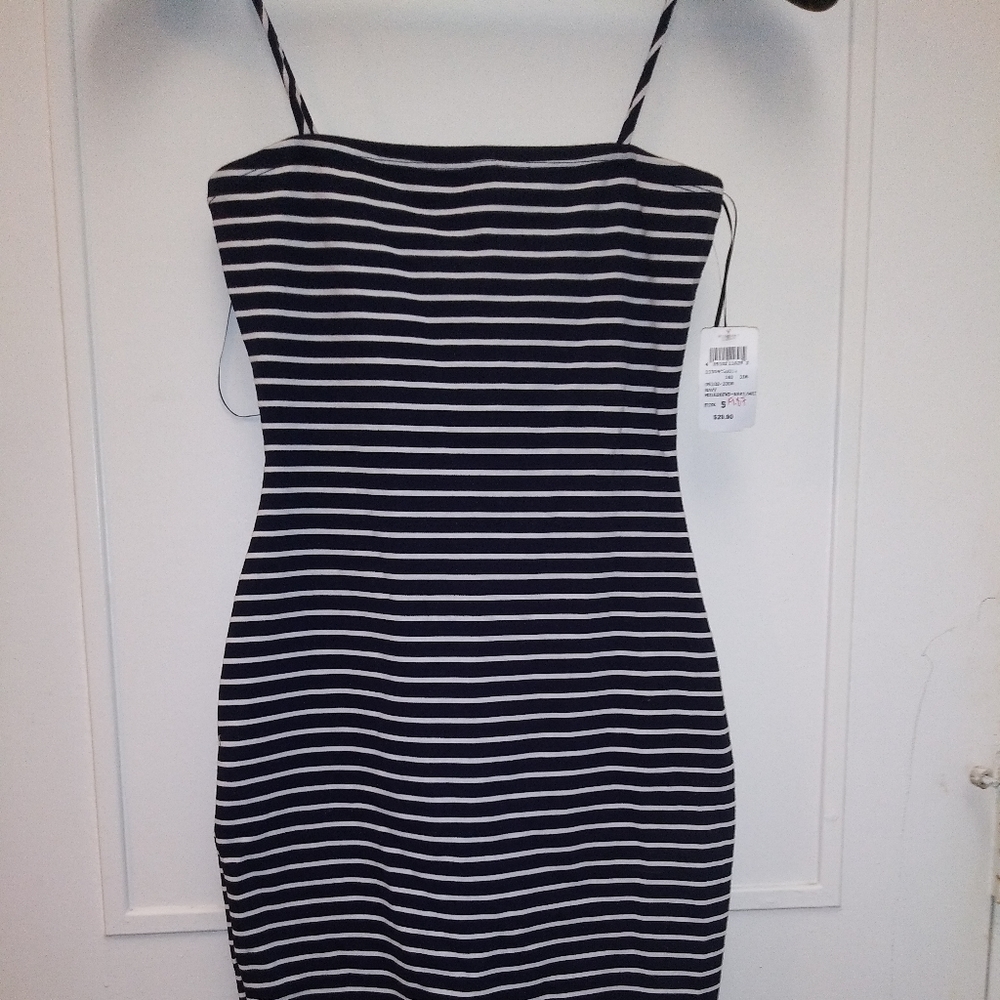 Windsor Fitted Striped dress